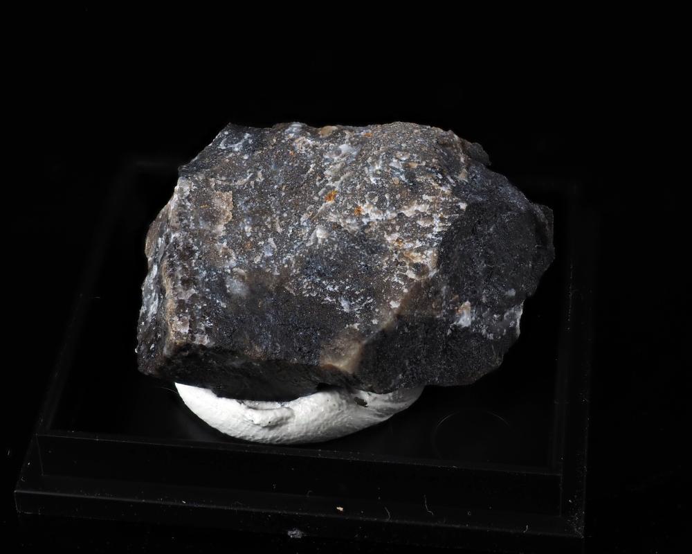 Scheuchzerite